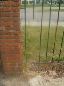 P1260288