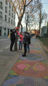 flores 1