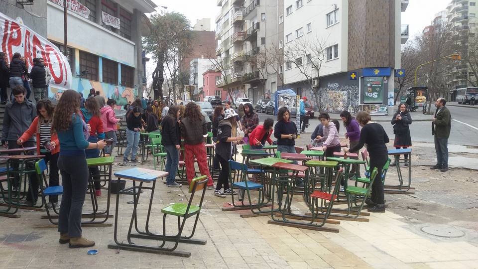 zorrilla 7