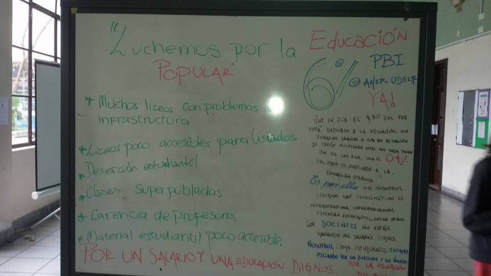 zorrilla 9