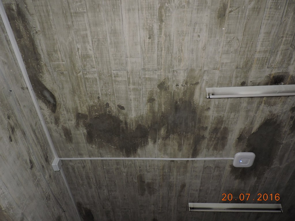 DSCN5915