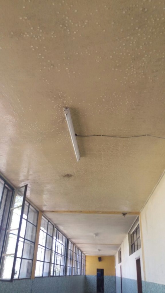 img-20161011-wa00141